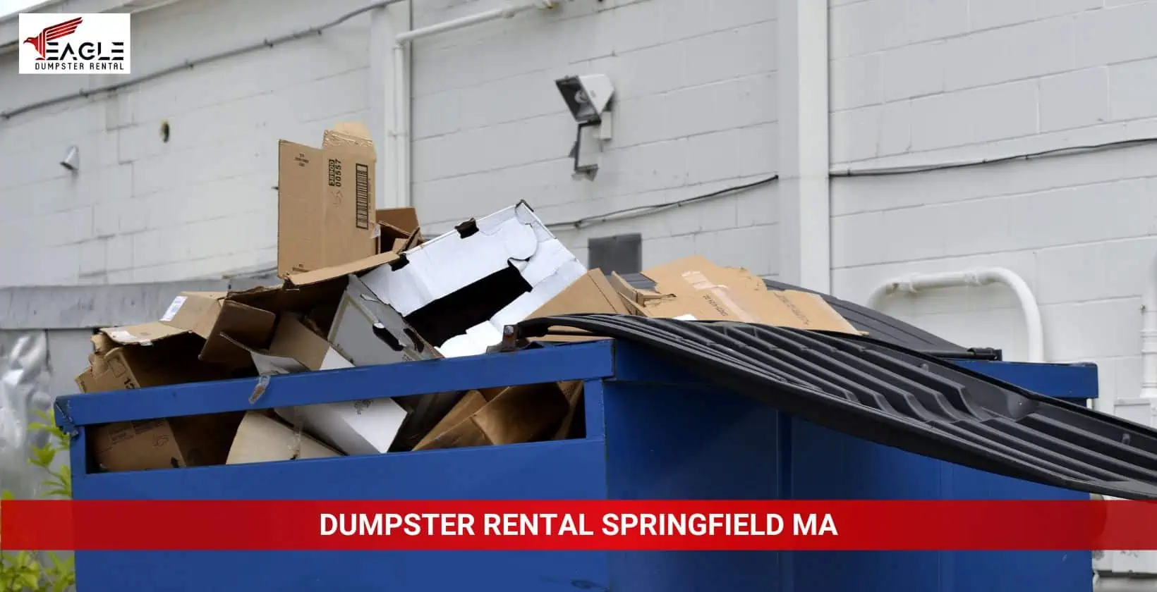 dumpster rental springfield ma