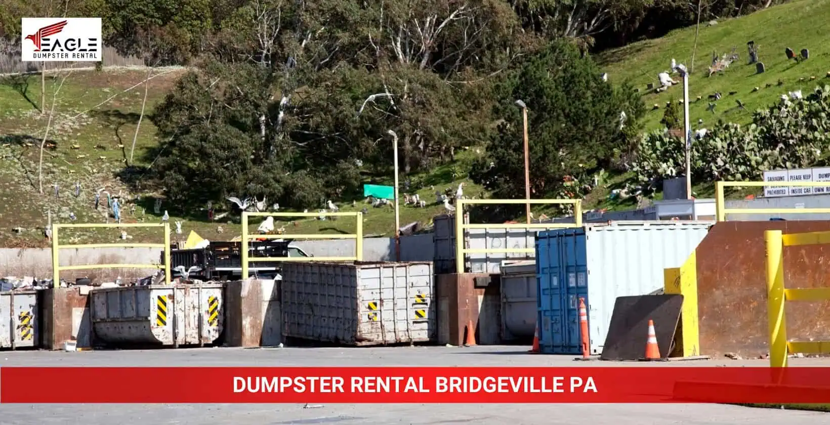 dumpster rental bridgeville pa